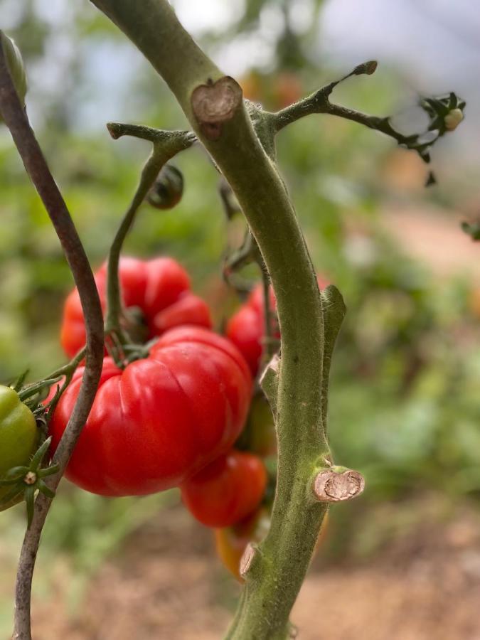 Le Prieure Des Fontaines Les Preaux Exterior foto